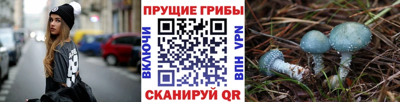 Купить закладки Берёзовский Галлюциногенные грибы Magic Shrooms